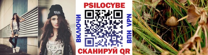 Псилоцибиновые грибы прущие грибы  Купить  Костерёво 